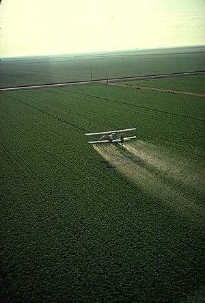 Cropduster spraying pesticides