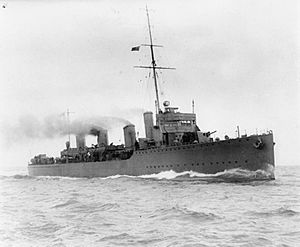 HMS Botha IWM SP 1573
