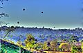 Hot Air Balloons over Olivenhain CA 2