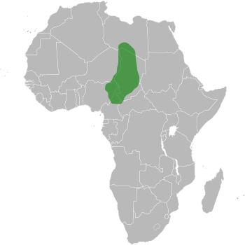 Influence of Kanem Empire around 1200 AD