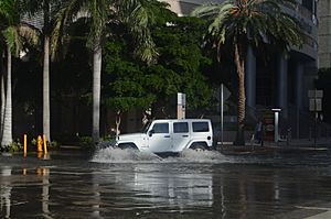 Miami proper tidal flooding 09