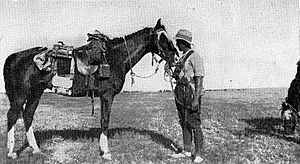 New Zealand mounted trooper with saddled horse 1917