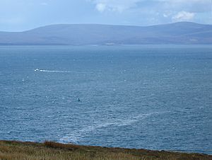 Scapa Flow from Gaitnip cliffs small