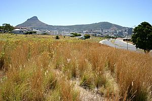 District Six and beyond Cape Town