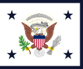 Flag of the Vice President of the United States (fringed)
