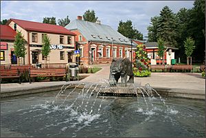 Jēkabpils lynx - panoramio