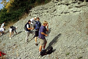 Outcrop of Upper Ordovician rubbly limestone and shale, southern Indiana