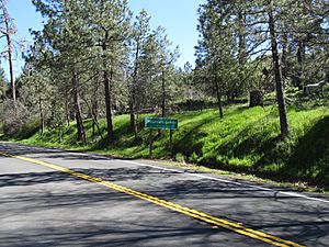 Pines to Palms Scenic Byway, Mountain Center, California.jpg