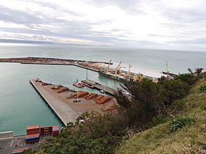 Port of Napier as seen from Bluff Hill.