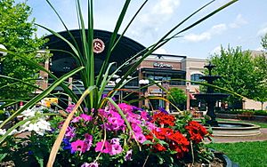 Pullman Square Flowers and Fountain.jpg