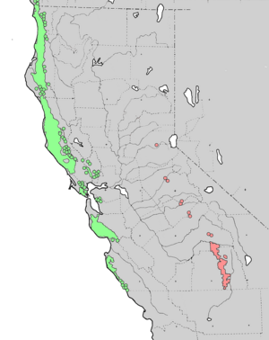 Map showing distribution of Sequoia (Sierra Nevada mountains of eastern California) and Sequiodendron