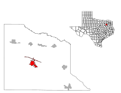 Location of Canton, Texas
