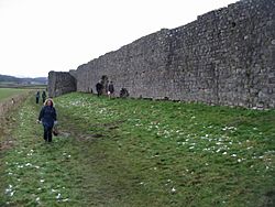 The Southern wall of the Roman city of Venta Silurum - geograph.org.uk - 1162370