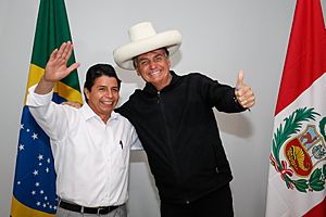 03 02 2021 - Reunião com o Presidente da República do Peru, Pedro Castilho (51859209817)