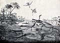 A prehistoric lake teeming with saurians eating each other o Wellcome V0023194