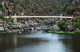 Alexandra Suspension bridge - launceston tasmania.jpg