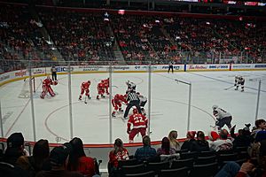 Arizona Coyotes vs. Detroit Red Wings December 2019 11 (in-game action)