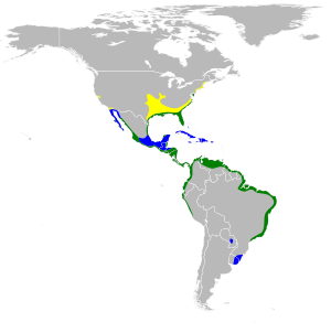 Egretta caerulea map.svg