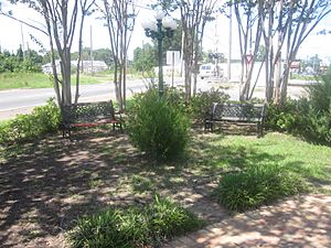 Green space in Coushatta, LA IMG 2409