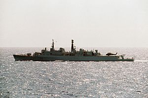 HMS Antrim D18 1976.jpeg