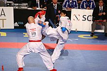 Karate WC Tampere 2006-1.jpg