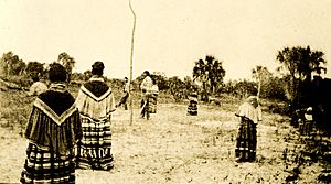 Seminoles playing stickball in the Big Cypress Swamp, Florida (12345194105)