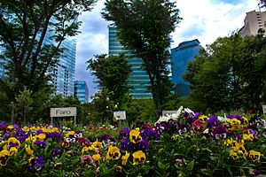 Shinjuku-Chūō-Kōen-flowerbed