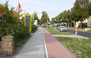 Sidewalk with bike path