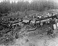 Two men were killed on Sept. 5, 1893, when a circus train fell off the tracks of the Nevada County Narrow Gauge Railroad, but horses, lions and bears remained in the cars and were unharmed. Searls Library