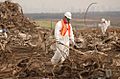 World Trade Center wreckage-Fresh Kills landfill on Staten Island