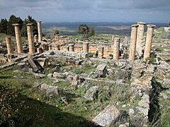 Archaeological Site of Cyrene-109025