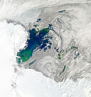 Bloom in the Ross Sea