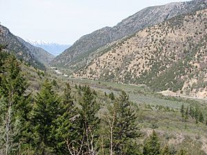 Cache National Forest