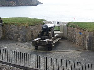 Cannon, guarding the entrance to Dartmouth harbour - geograph.org.uk - 1188459