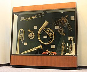 Display of the Stearns Collection of Musical Instruments University of Michigan.JPG