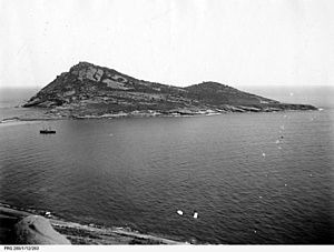 Pearson Isles, South Australia (State Library of South Australia PRG-280-1-12-263)