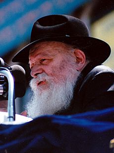 Rabbi Menachem Mendel Schneerson2 crop