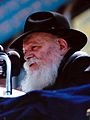 Rabbi Menachem Mendel Schneerson2 crop