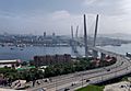 Vladivostok. Zolotoy Rog Bay DSC01337 2300
