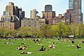 3015-Central Park-Sheep Meadow