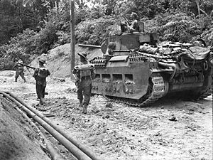 Australian Matilda II tank supporting infantry during the attack on Skyes on Tarakan in May 1945 (AWM 089471)