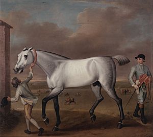 John Wootton - The Duke of Hamilton's Grey Racehorse, 'Victorious,' at Newmarket - Google Art Project