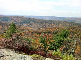 Macedonia State Park's Cobble Mountain summit with Catskill Mountains in background.JPG