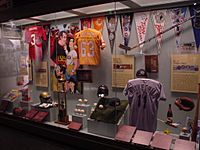 Tampa Bay History Center - Sports display