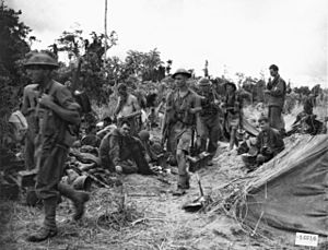 014214 Australian and American troops at Sanananda Buna