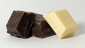 Blocks of Couverture chocolate