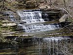 Clifty Falls at Clifty Falls State Park.JPG