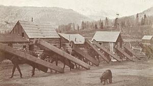Dunton Hot Springs men moving lumber, c. 1880s