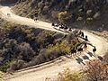Equestrian trail use in Griffith Park 2015-12-27