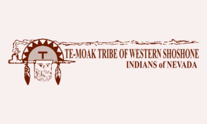 Flag of the Te-Moak Tribe of Western Shoshone Indians of Nevada.PNG